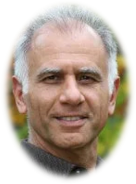 Reza Rajaie